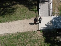 az �r szolg�i vigy�znak r�juk...