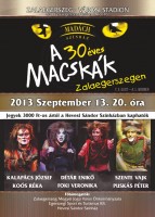 Macskak-Zalaegerszegen